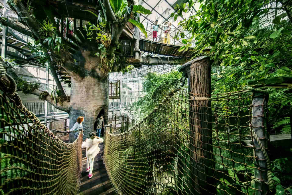 Upptäck Universeum Gothia Towers
