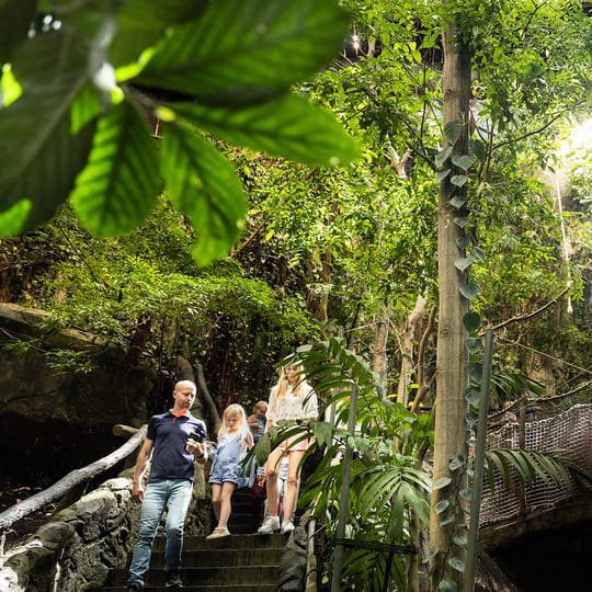 Besökare rör sig genom en naturmiljö med vatten, växter och sten i Universeums utställning Vildmarken.
