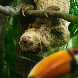 imgi_44_julius-sportlov1920x1080