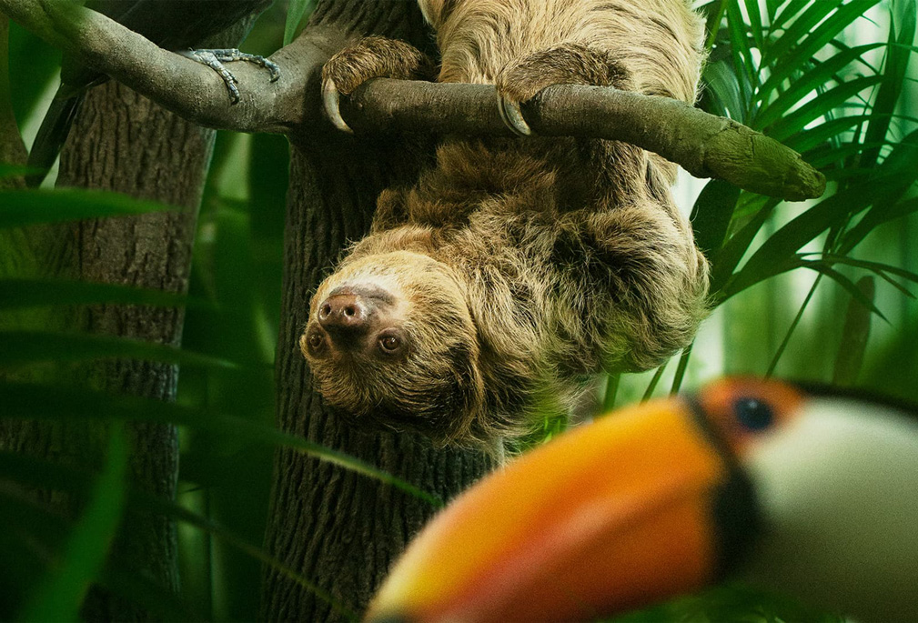 Universeum i Göteborg