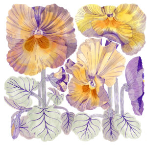 Hantverk av Cecilia Pettersson