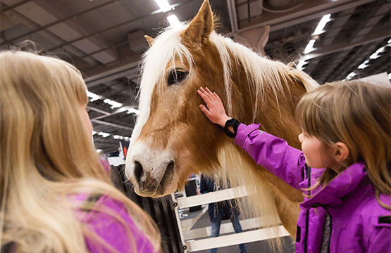Gäster på mässa leker med ponny under EuroHorse